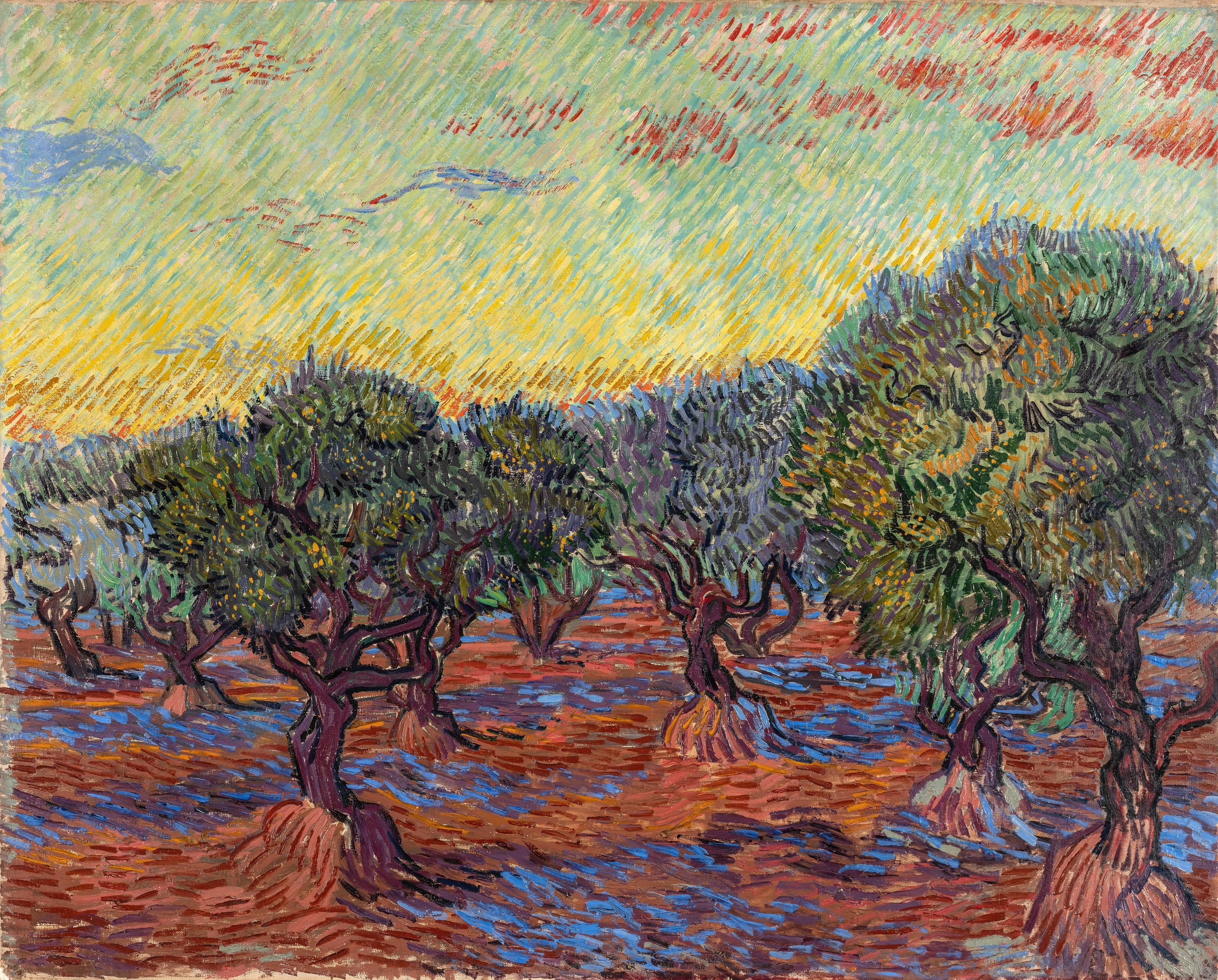 Vincent van Gogh — Olive Grove, Saint-Rémy | Fine Art Print
