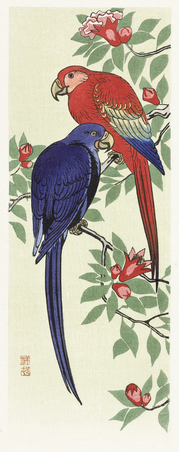 Ohara Koson — Two Macaws | Japanese Bird & Flower Woodblock Print