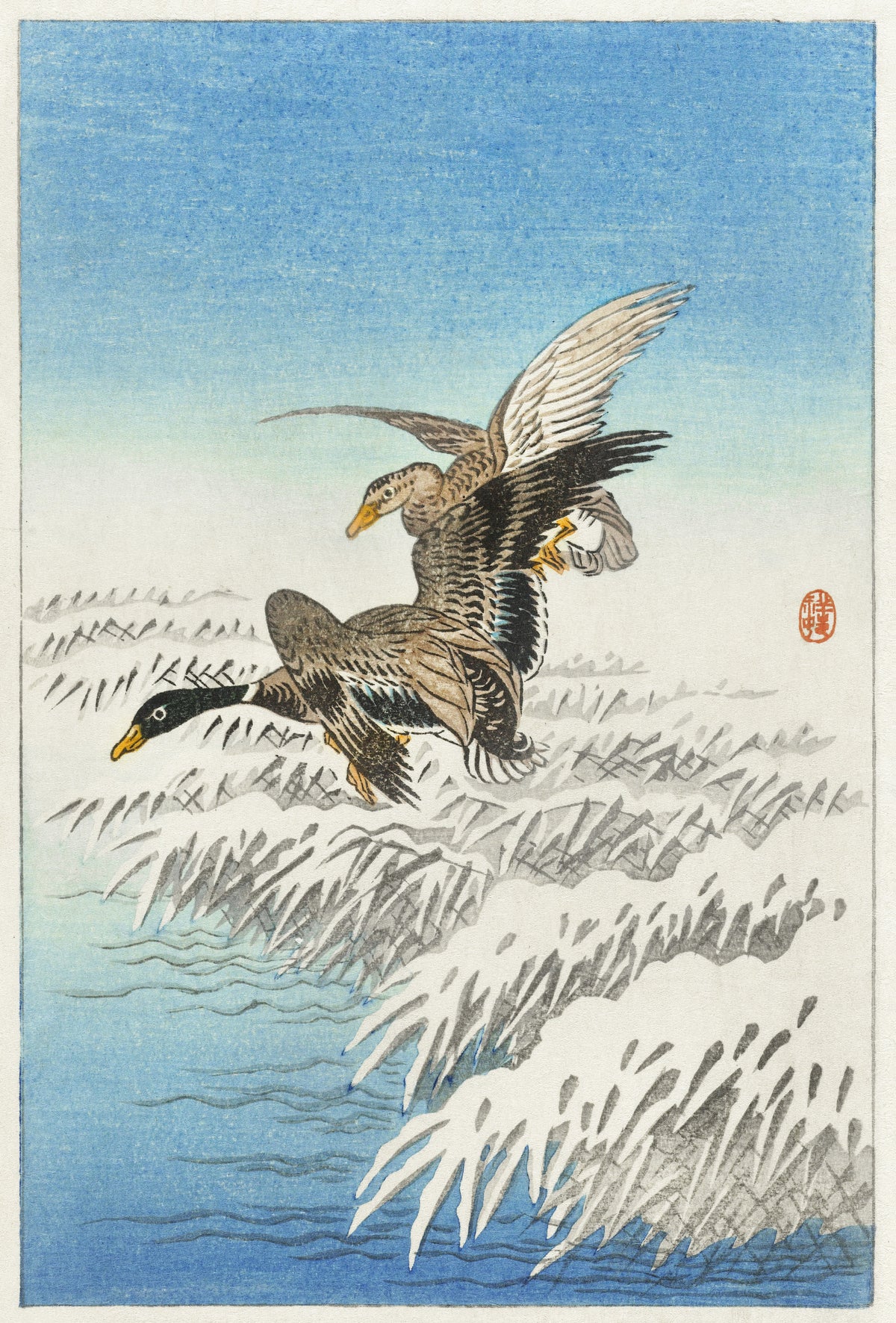 Ohara Koson — Pair of Ducks Flying over Snowy Reeds | Japanese Bird & Flower Woodblock Print