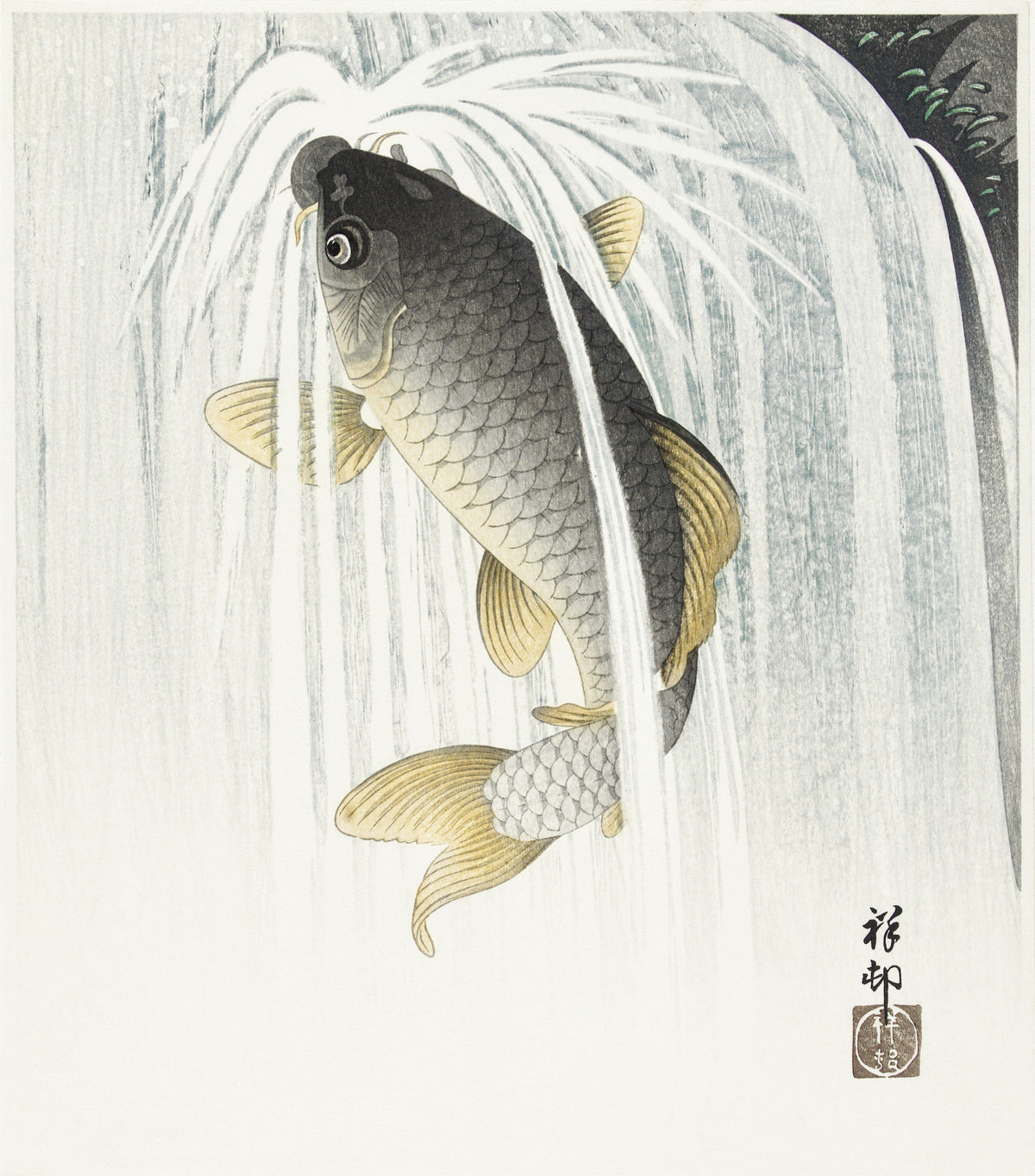 Ohara Koson — Carp | Japanese Bird & Flower Woodblock Print
