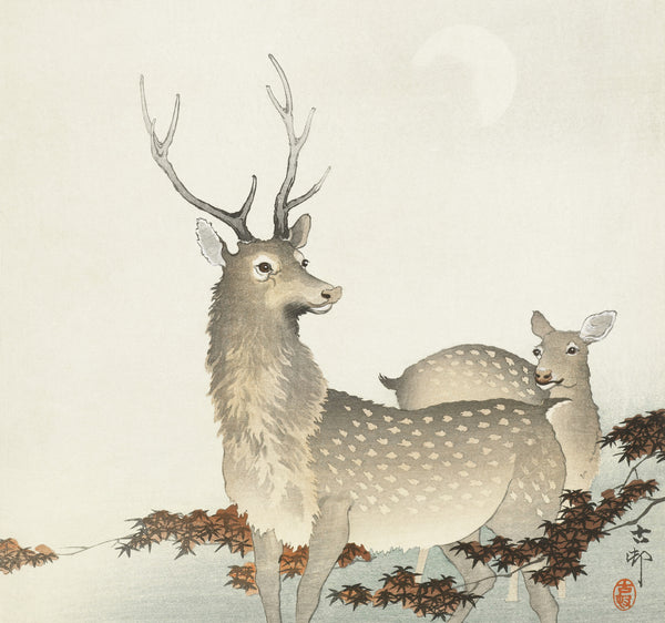 Ohara Koson — Couple of Deer | Japanese Bird & Flower Woodblock Print