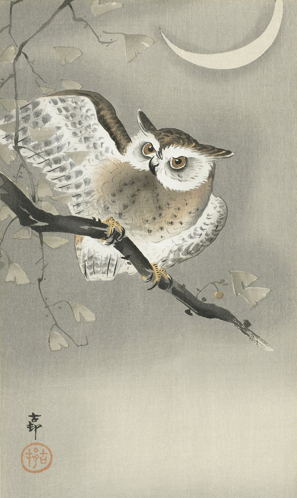 Ohara Koson — Long-eared Owl in Ginkgo | Japanese Bird & Flower Woodblock Print