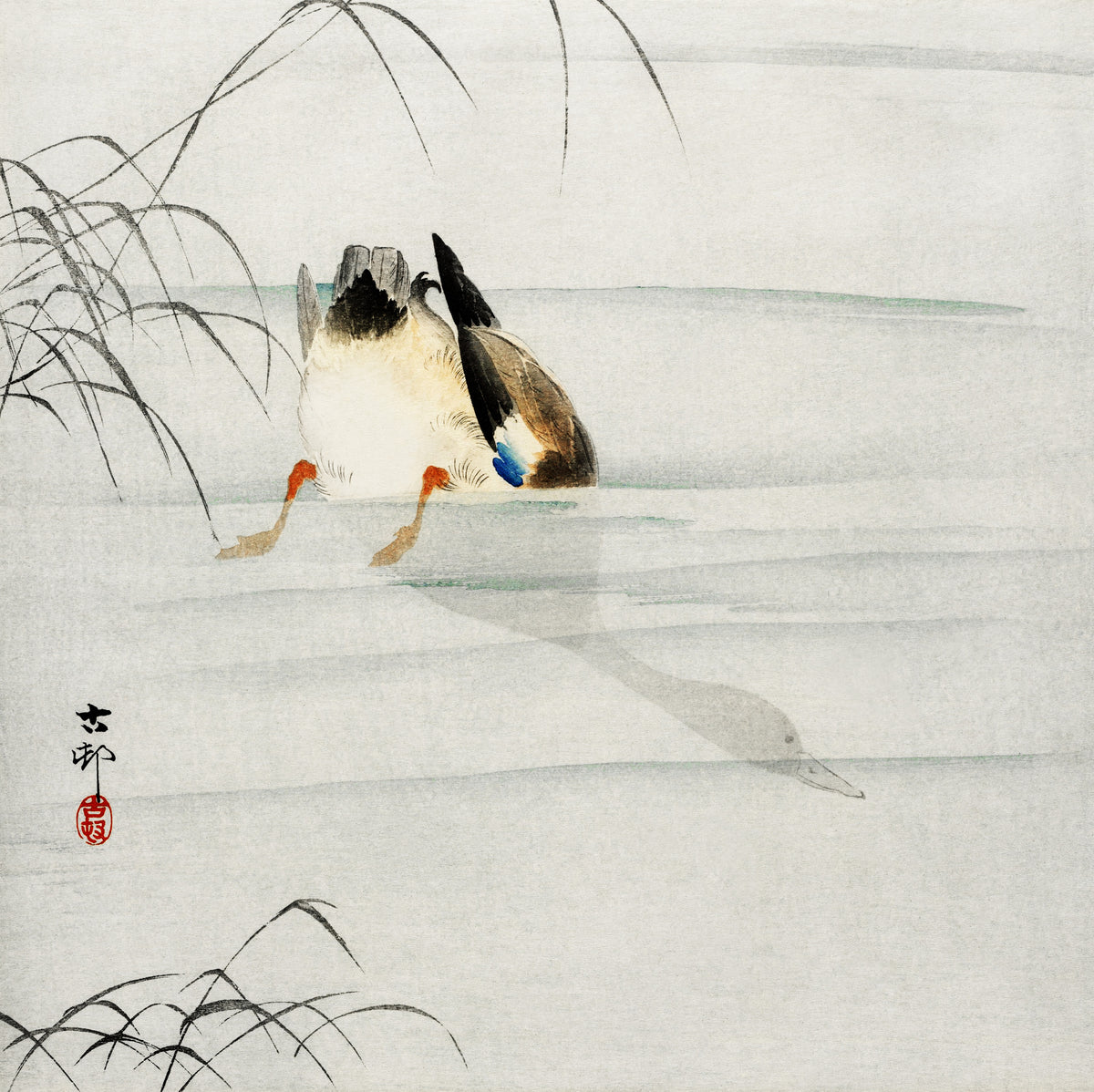 Ohara Koson — Mallard, Head under Water | Japanese Bird & Flower Woodblock Print
