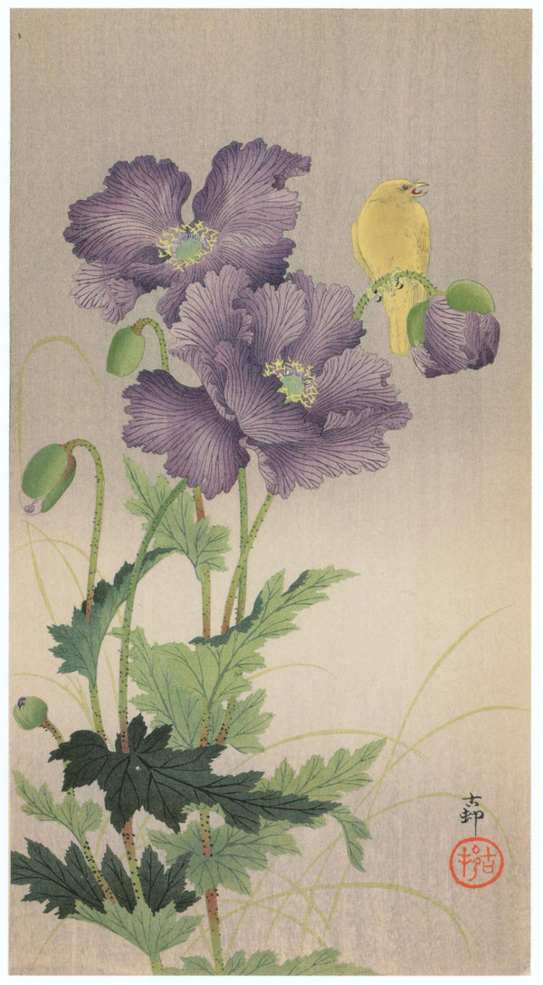 Ohara Koson — Canary and Poppies | Japanese Bird & Flower Woodblock Print