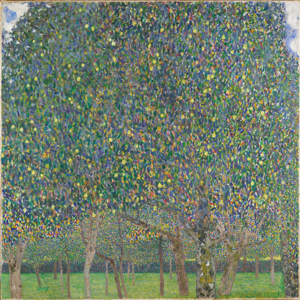 Gustav Klimt — Pear Tree | Fine Art Print