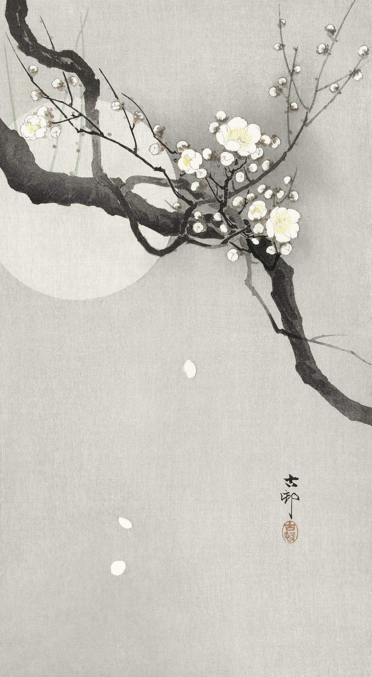 Ohara Koson — Plum Blossom and Full Moon | Japanese Bird & Flower Woodblock Print