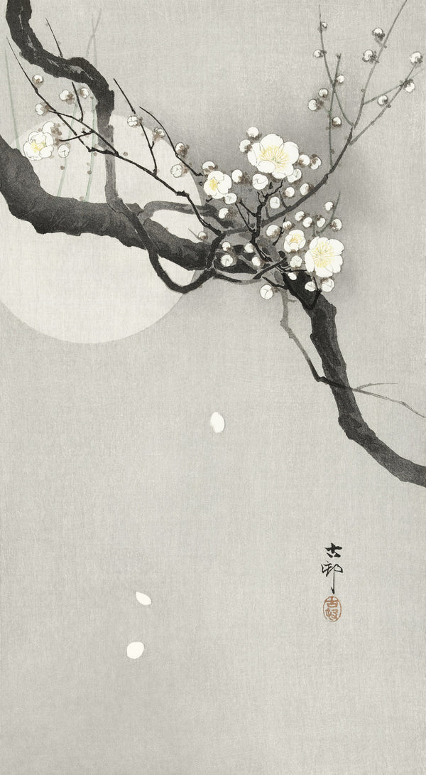 Ohara Koson — Plum Blossom and Full Moon | Japanese Bird & Flower Woodblock Print