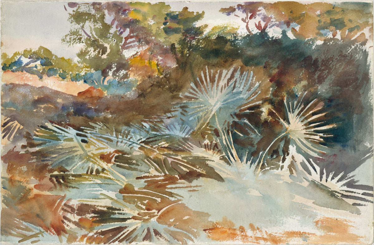John Singer Sargent — Landscape with Palmettos | Fine Art Print