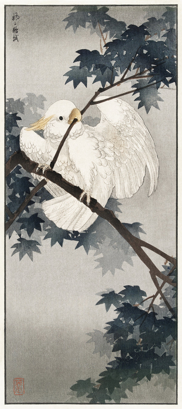 Ohara Koson — Yellow-crested Cockatoo in Tree | Japanese Bird & Flower Woodblock Print