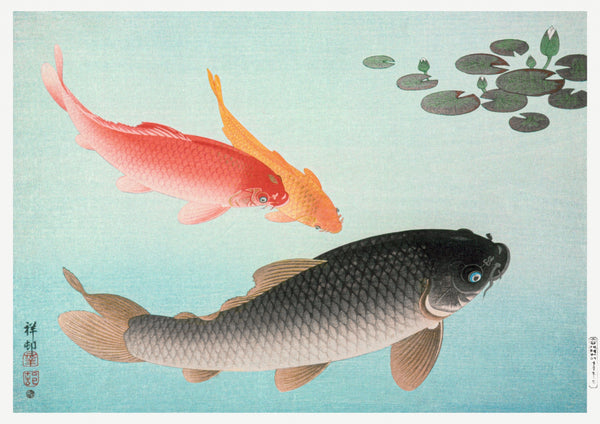 Ohara Koson — Common and Golden Carp | Japanese Bird & Flower Woodblock Print