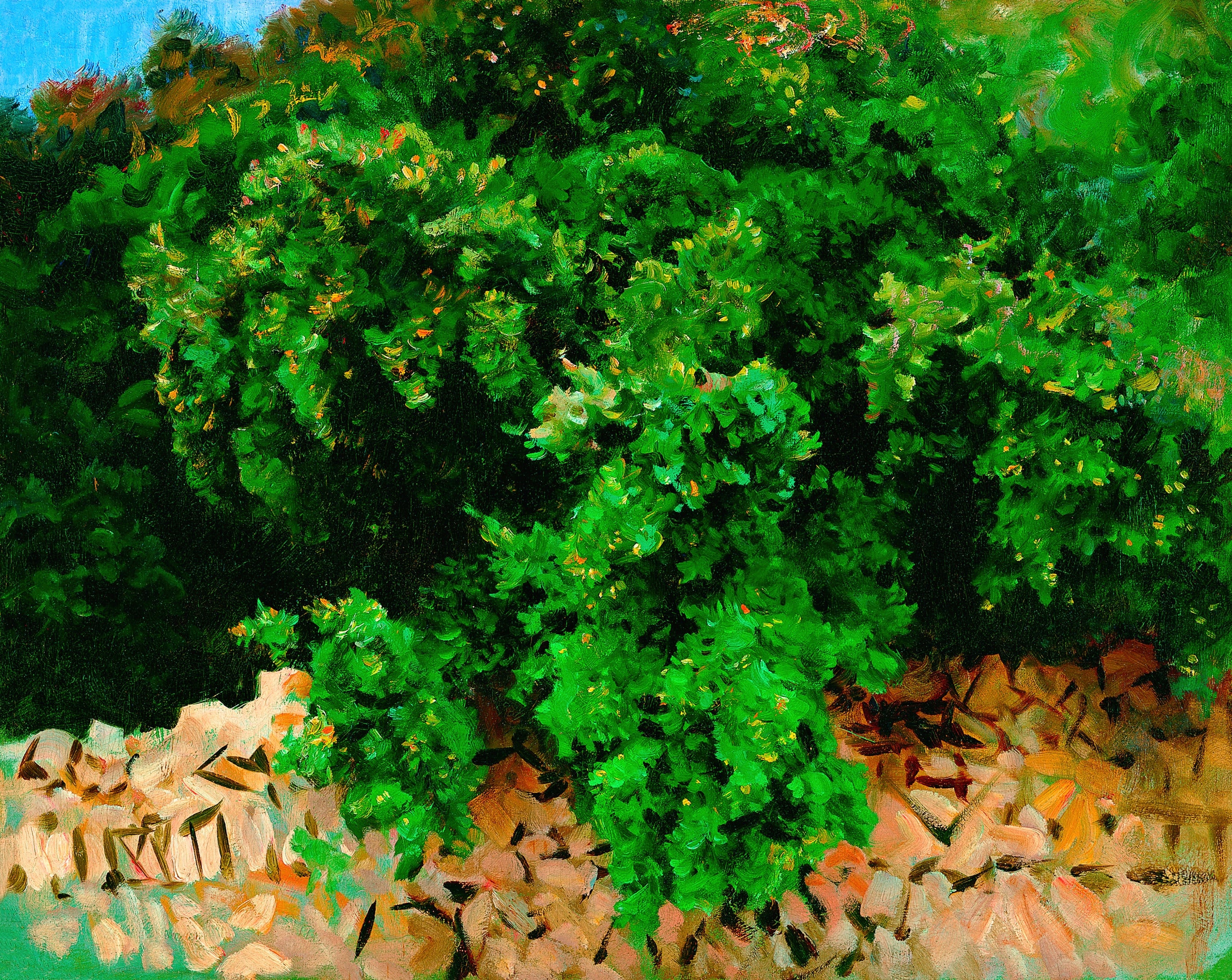 John Singer Sargent — Ilex Wood, Majorca | Fine Art Print