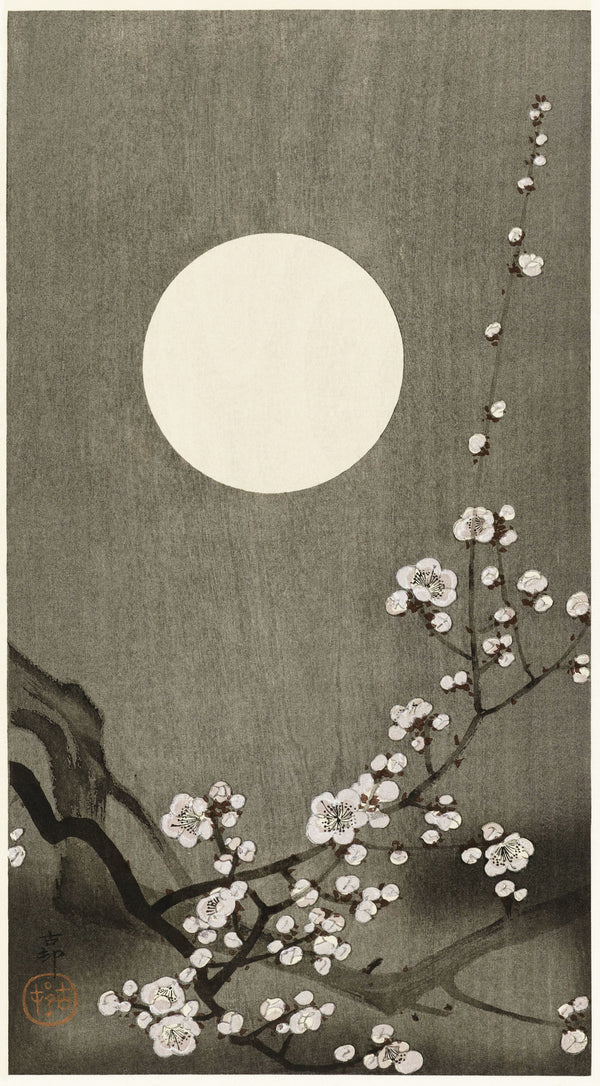 Ohara Koson — Blooming Plum Blossom at Full Moon | Japanese Bird & Flower Woodblock Print