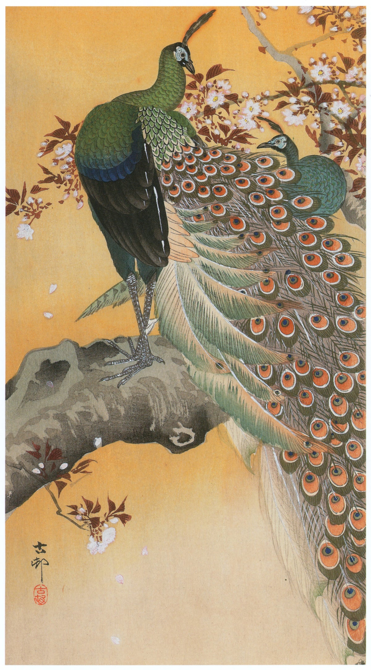 Ohara Koson — Pair of Peacocks on Cherry | Japanese Bird & Flower Woodblock Print