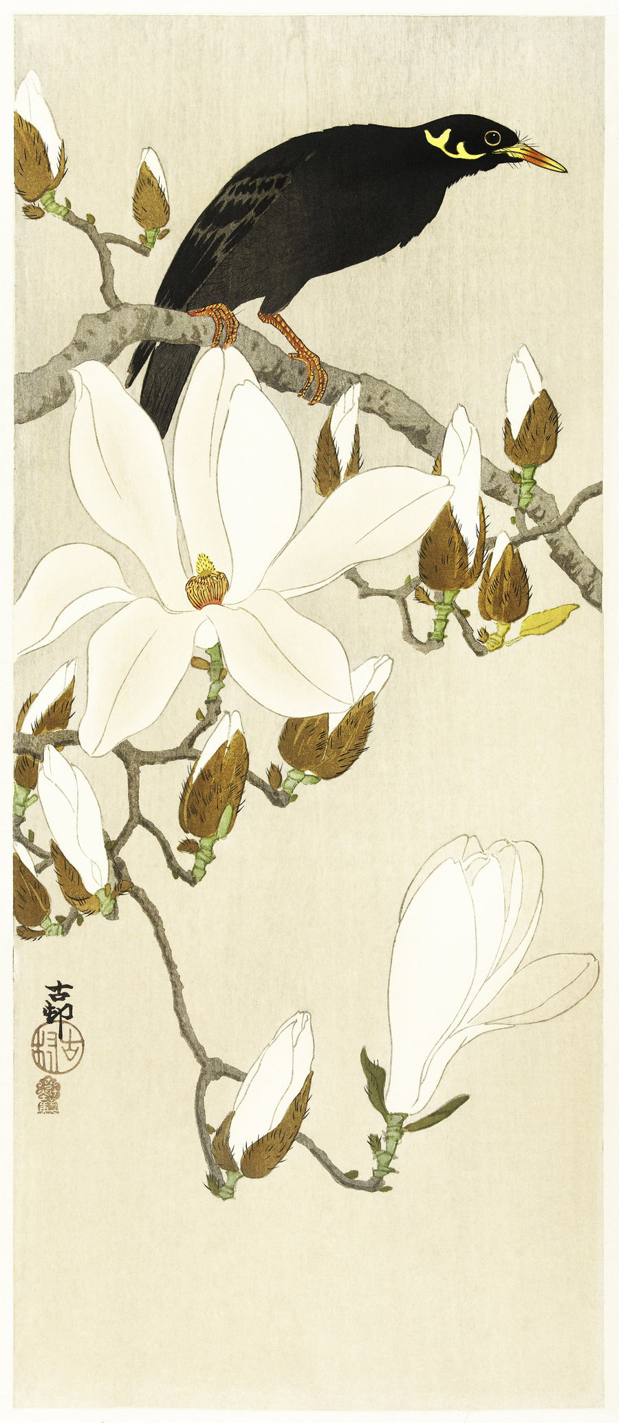 Ohara Koson — Myna on Magnolia Branch | Japanese Bird & Flower Woodblock Print shown to scale on a wall above a sofa