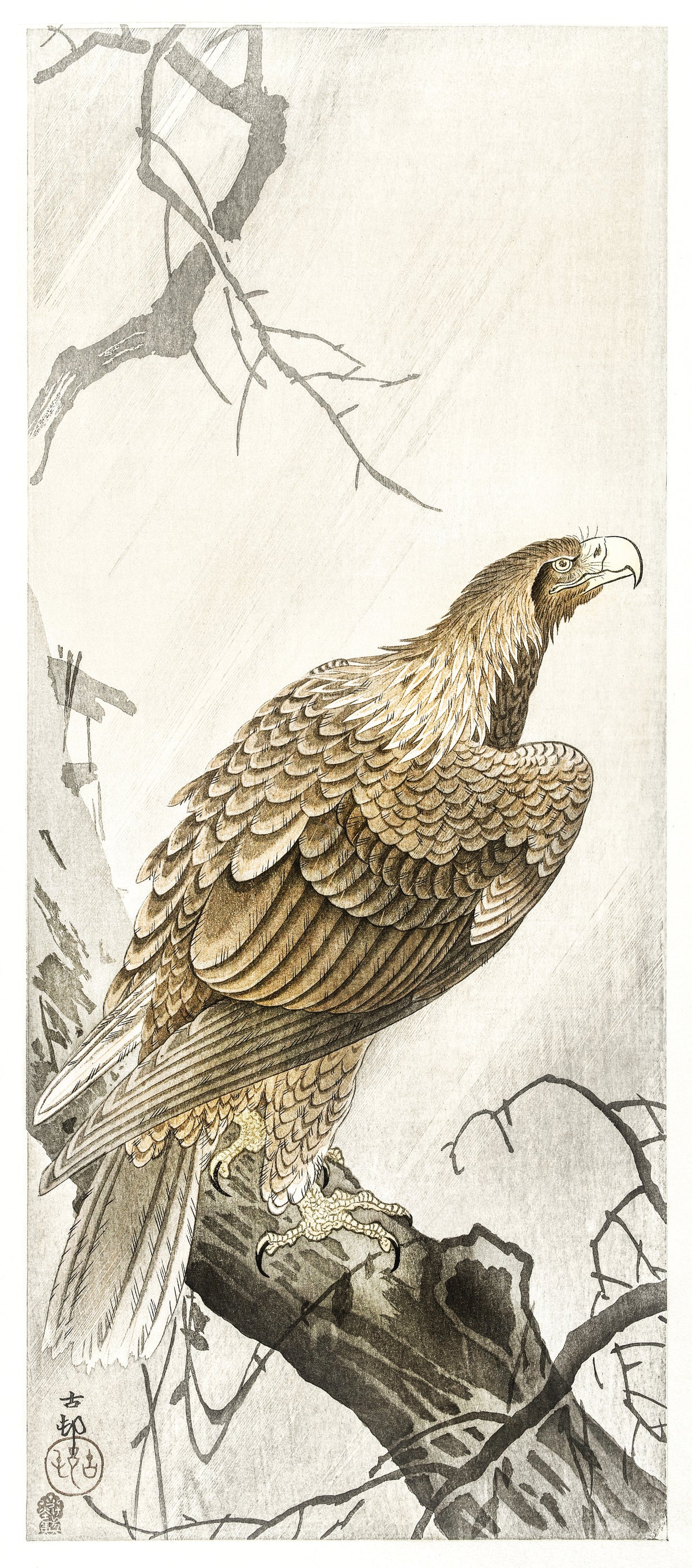 Ohara Koson — Eagle on Tree Branch | Japanese Bird & Flower Woodblock Print