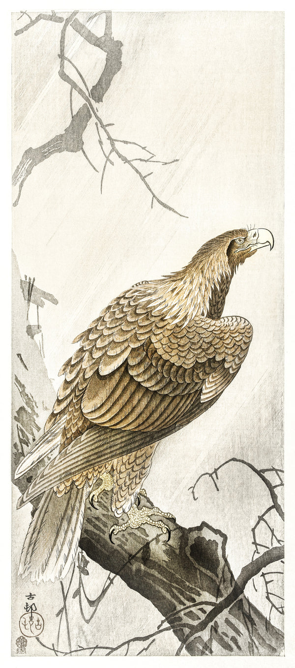 Ohara Koson — Eagle on Tree Branch | Japanese Bird & Flower Woodblock Print