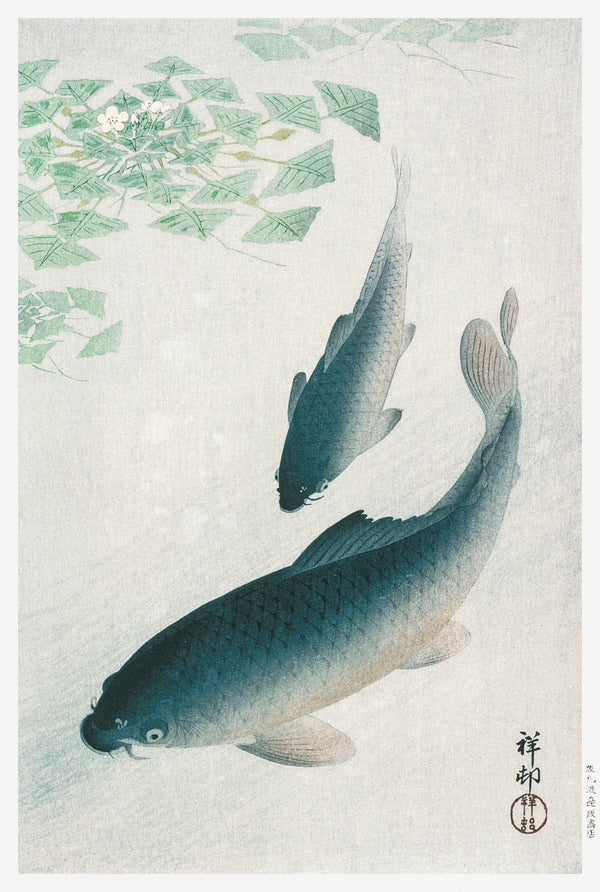 Ohara Koson — Carp or Koi | Japanese Bird & Flower Woodblock Print