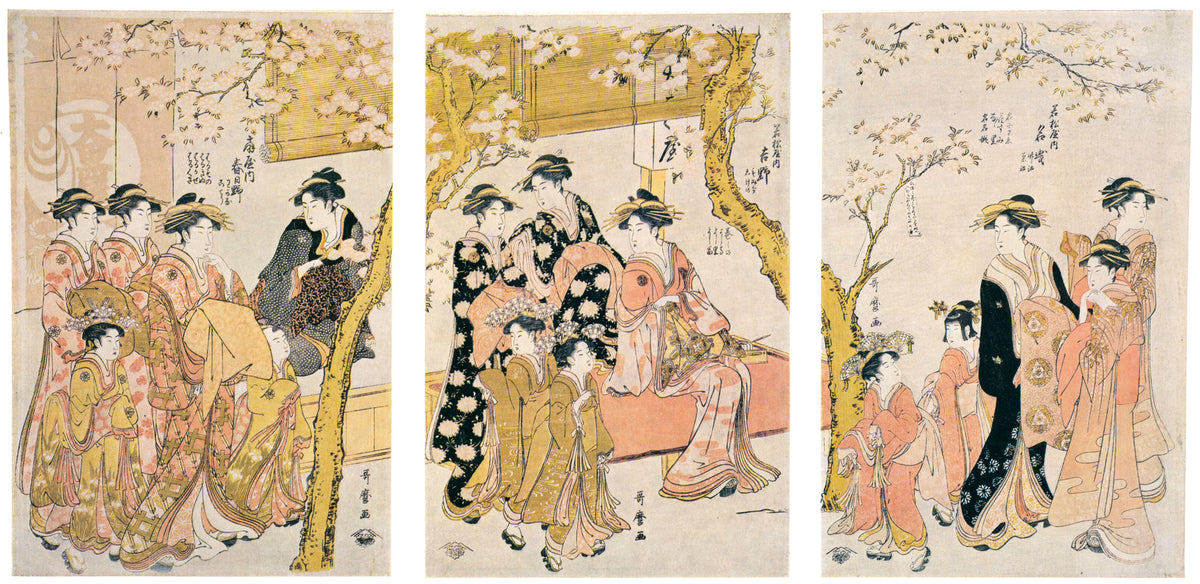 Kitagawa Utamaro — Courtesans and Cherry Blossoms at the Daikokuya | Japanese Woodblock Print (Ukiyo-e)