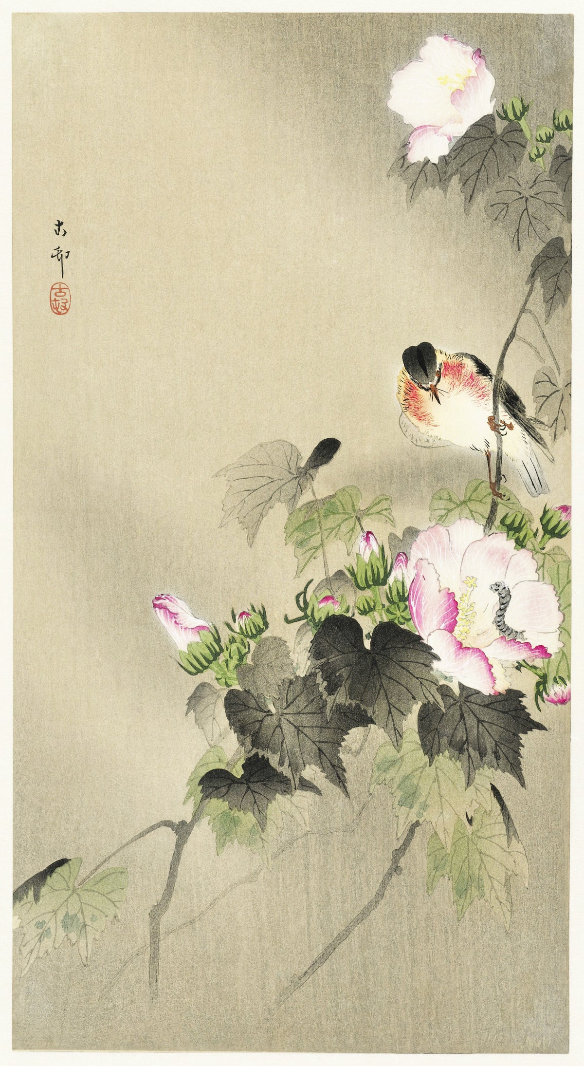 Ohara Koson — Bird and caterpillar | Japanese Bird & Flower Woodblock Print