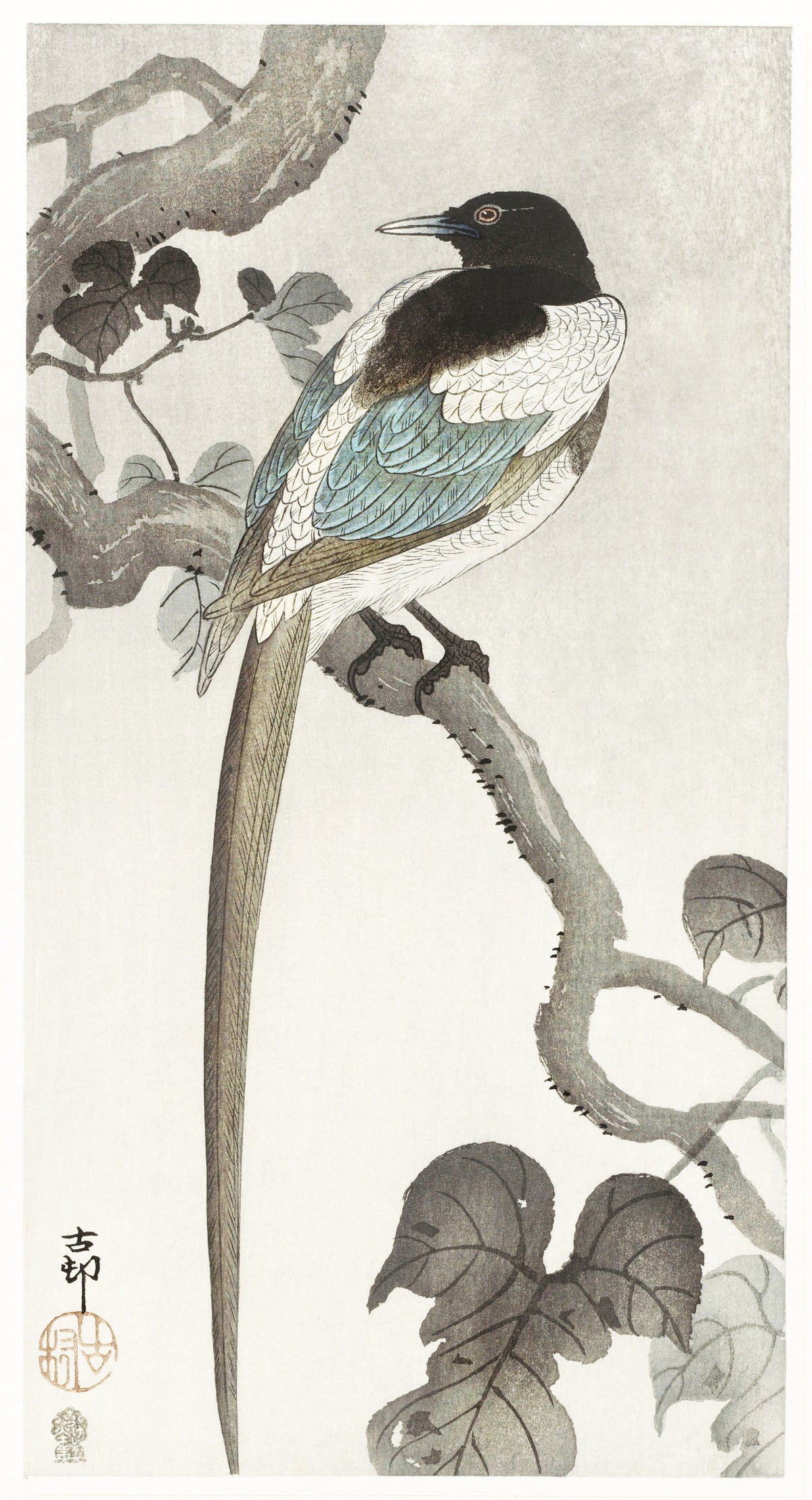 Ohara Koson — Magpie on Tree Branch | Japanese Bird & Flower Woodblock Print