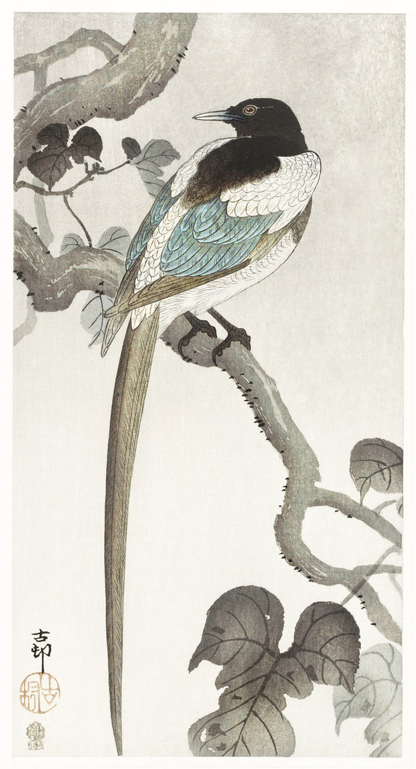 Ohara Koson — Magpie on Tree Branch | Japanese Bird & Flower Woodblock Print