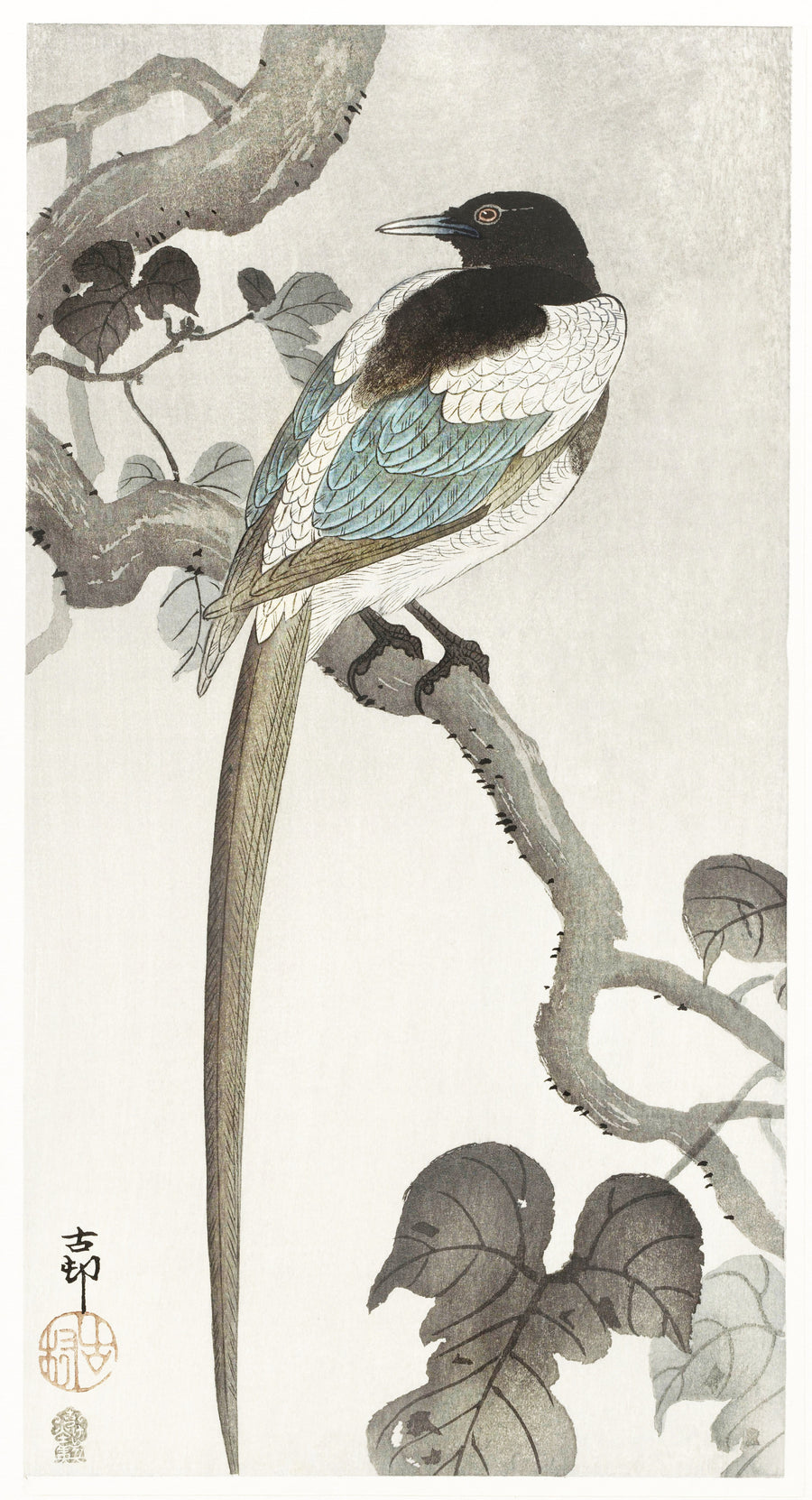 Ohara Koson — Magpie on Tree Branch | Japanese Bird & Flower Woodblock Print shown to scale on a wall above a sofa