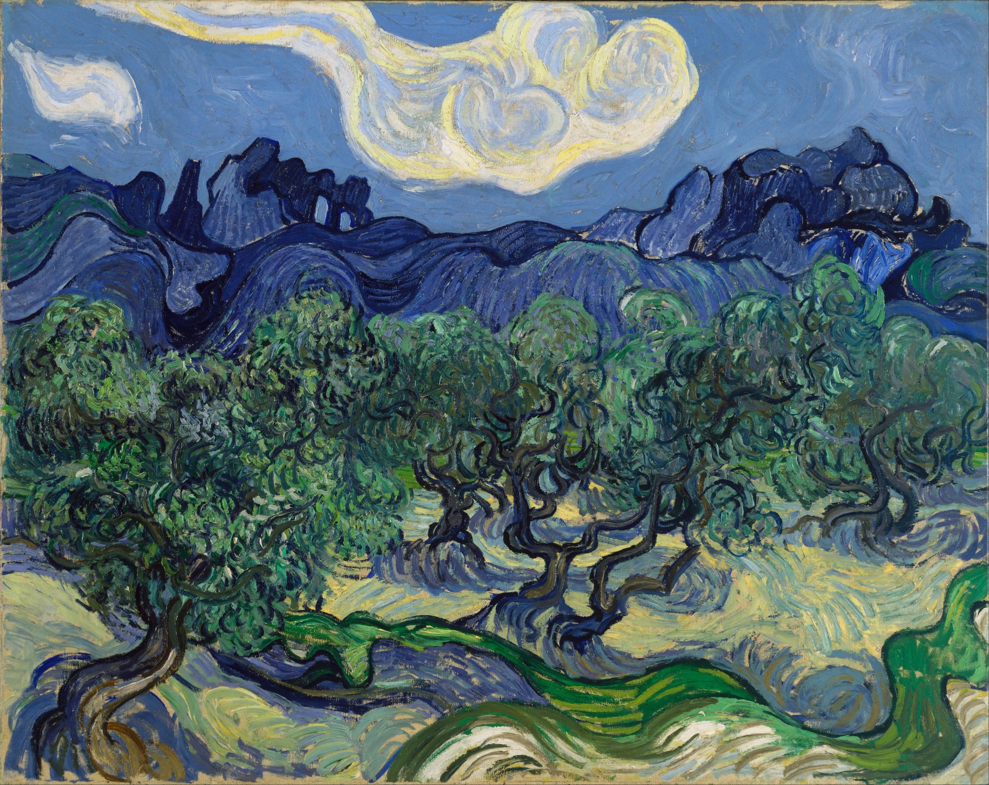 Vincent van Gogh — The Olive Trees | Fine Art Print