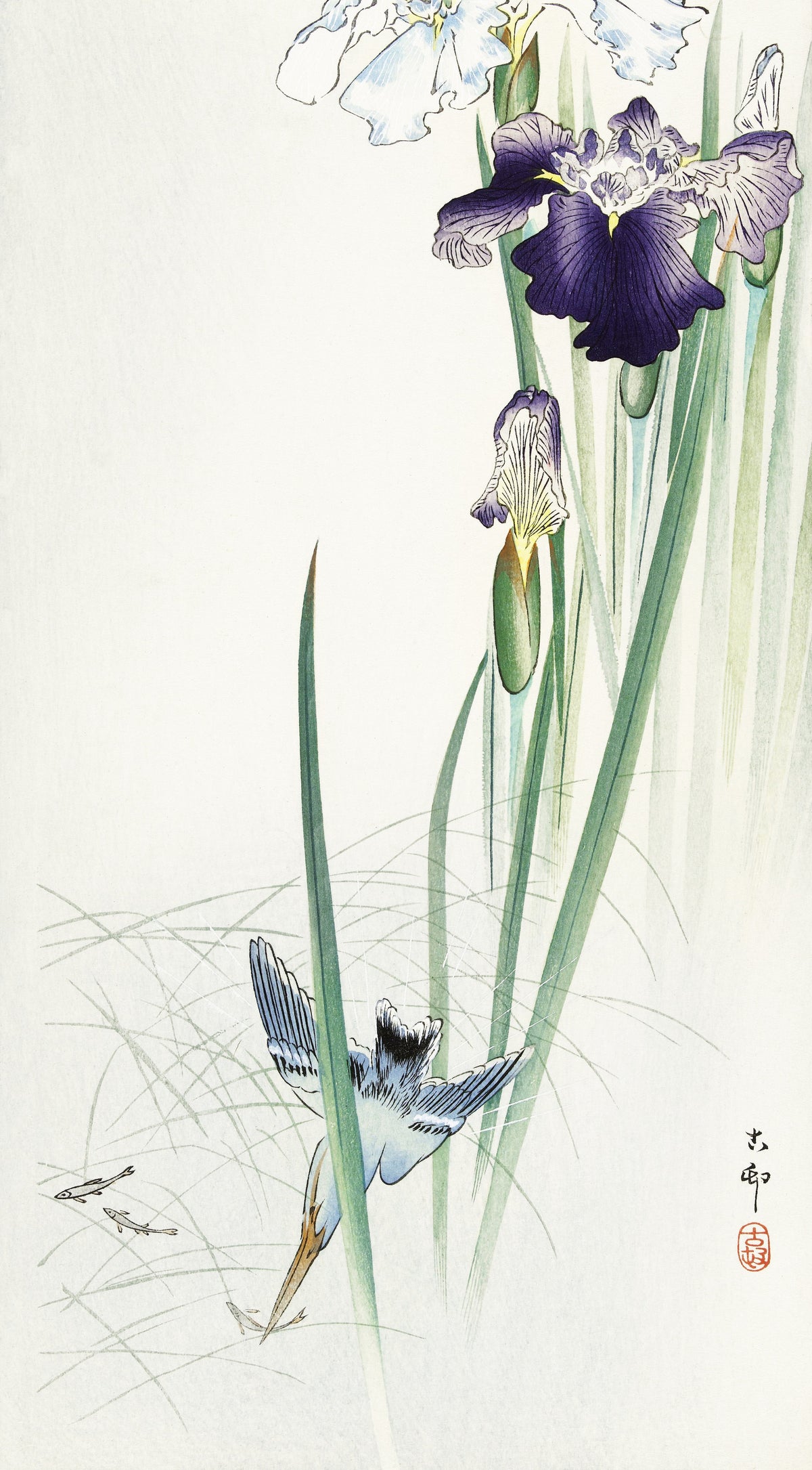 Ohara Koson — Kingfisher and Irises | Japanese Bird & Flower Woodblock Print