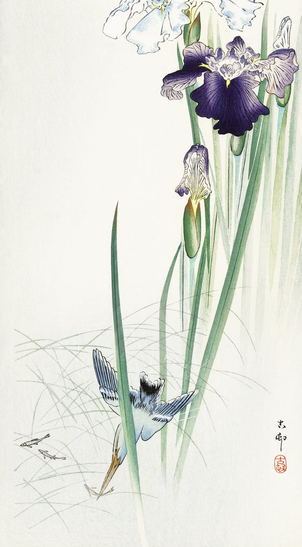 Ohara Koson — Kingfisher and Irises | Japanese Bird & Flower Woodblock Print