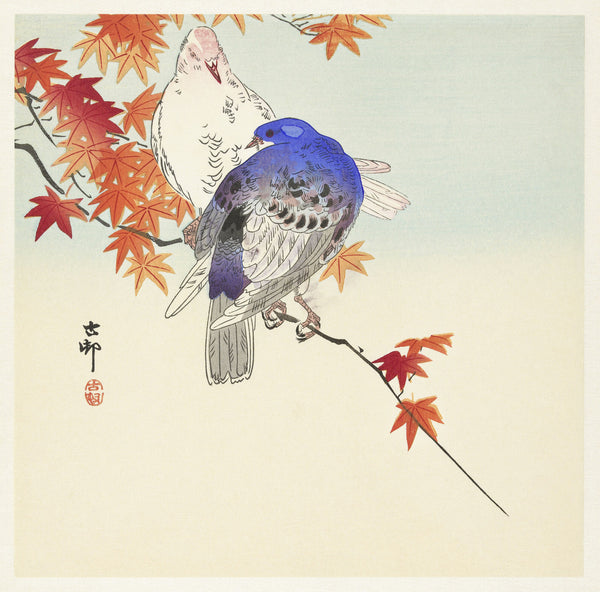 Ohara Koson — Two Pigeons on Autumn Branch | Japanese Bird & Flower Woodblock Print