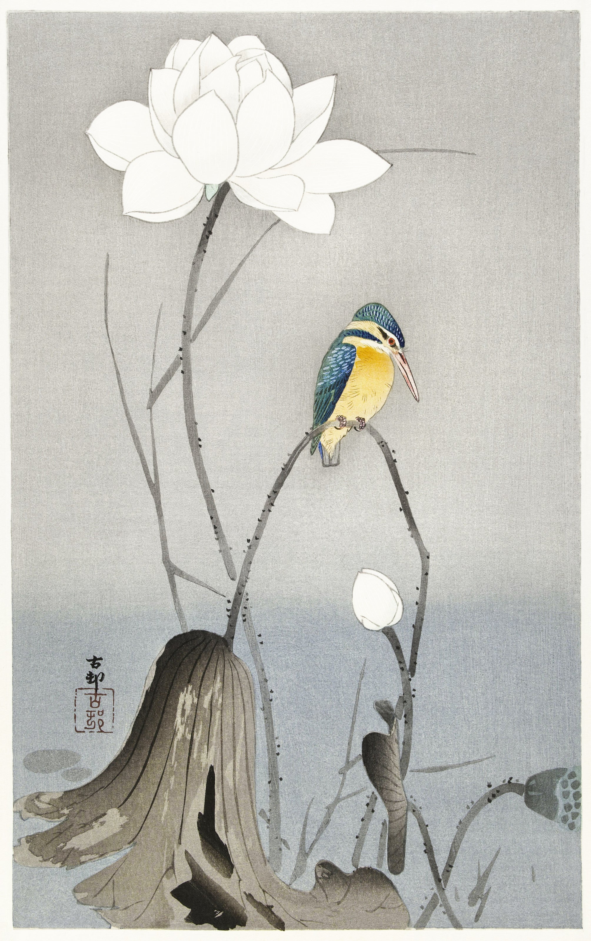Ohara Koson — Kingfisher with Lotus Flower | Japanese Bird & Flower Woodblock Print