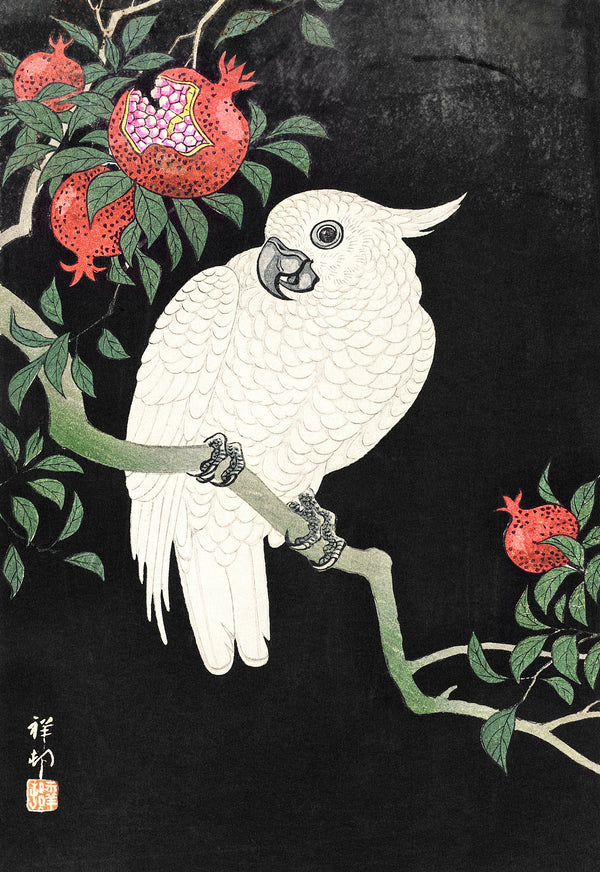 Ohara Koson — Cockatoo and Pomegranate | Japanese Bird & Flower Woodblock Print