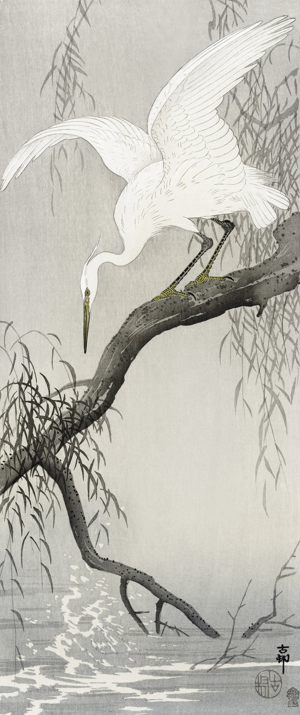 Ohara Koson — White Heron on Tree Branch | Japanese Bird & Flower Woodblock Print