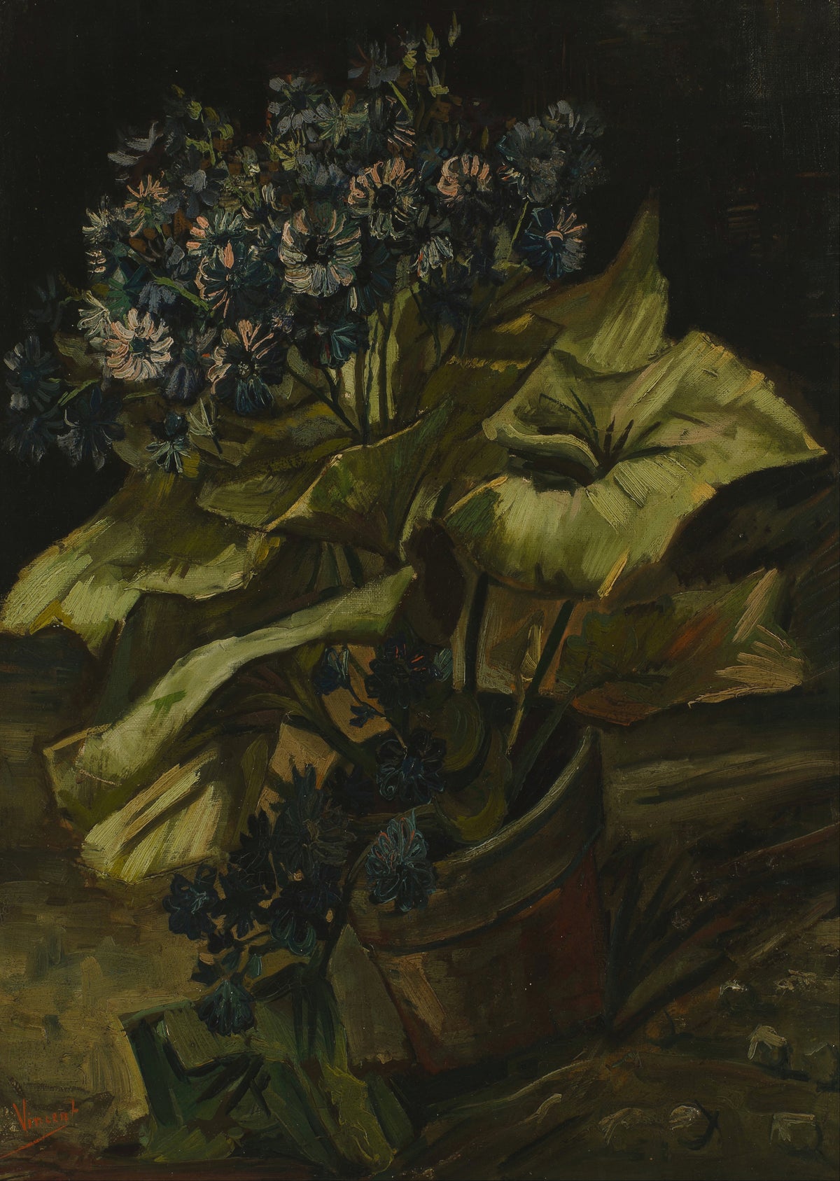 Vincent van Gogh — Cineraria | Fine Art Print