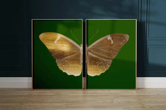 Statement Duo | Emerald Moth & Butterfly | Vintage Natural History Art Print