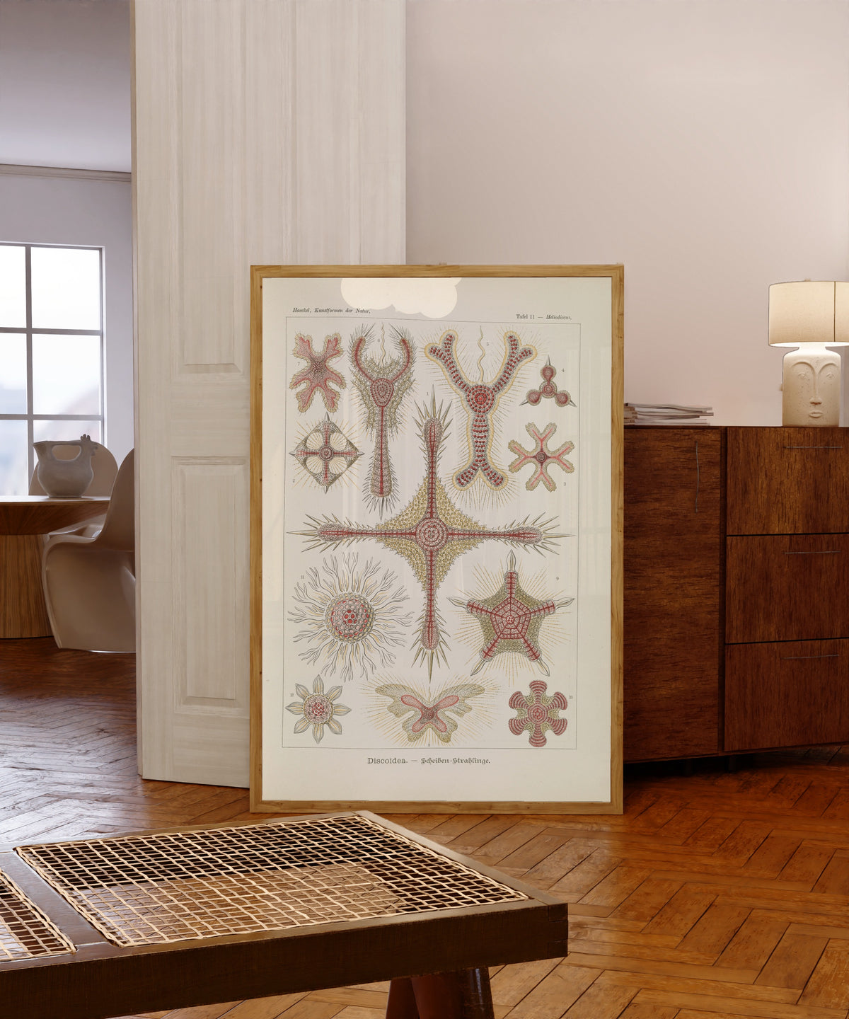 Framed art print of Kunstformen der Natur, Plate 11: Discoidea by Ernst Haeckel, in a light wood frame leaning in a warm room with a parquet floor