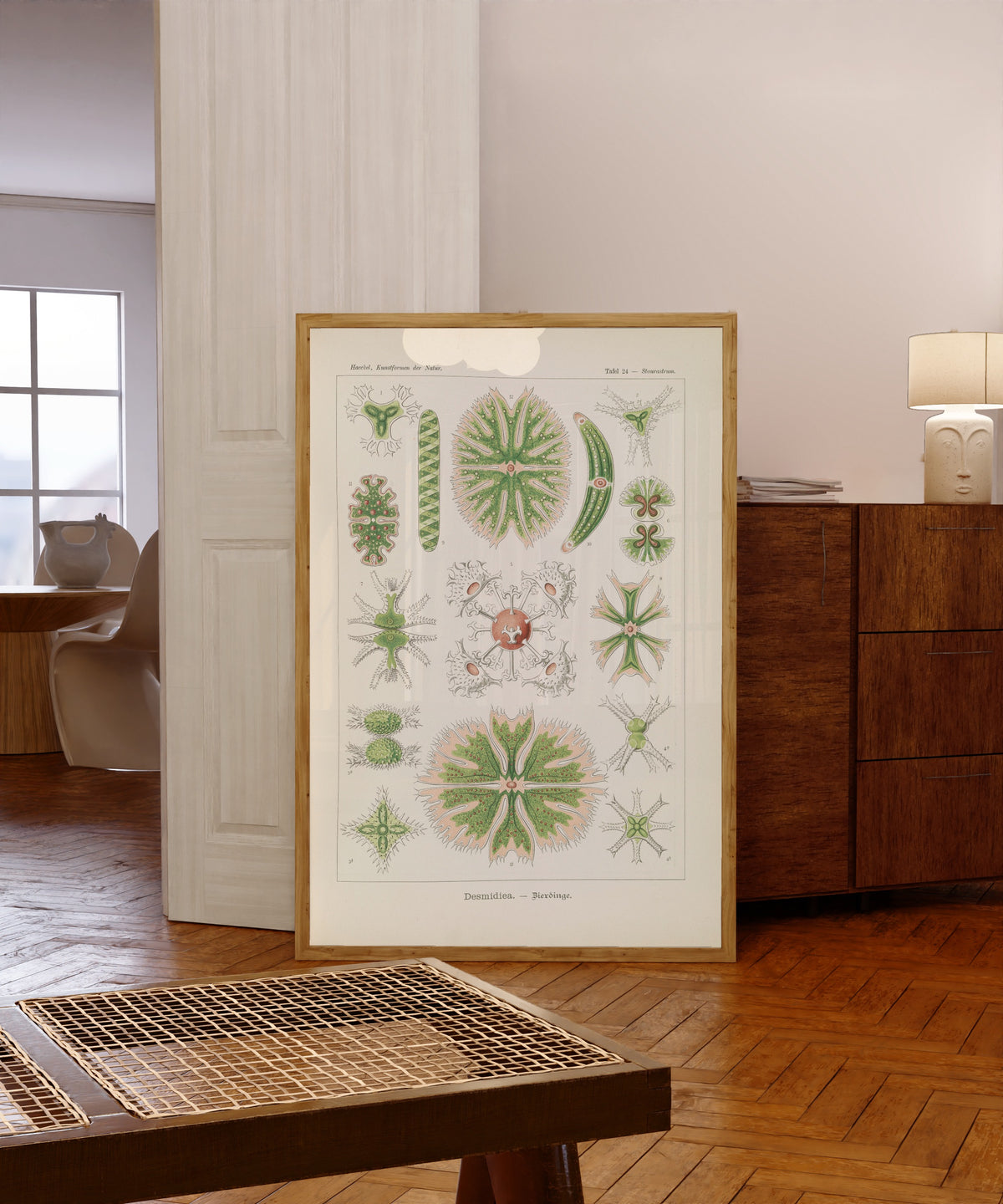 Framed art print of Kunstformen der Natur, Plate 24: Desmidiea by Ernst Haeckel, in a light wood frame leaning in a warm room with a parquet floor