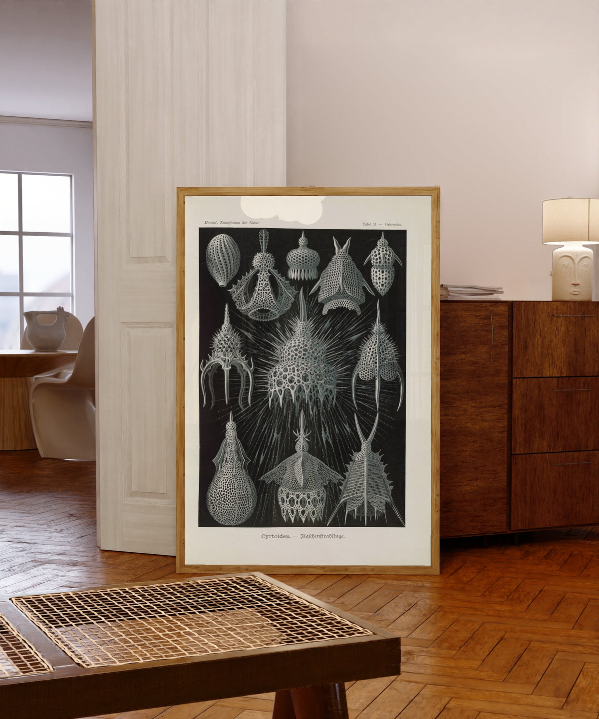 Framed art print of Kunstformen der Natur, Plate 31: Cyrtoidea by Ernst Haeckel, in a light wood frame leaning in a warm room with a parquet floor