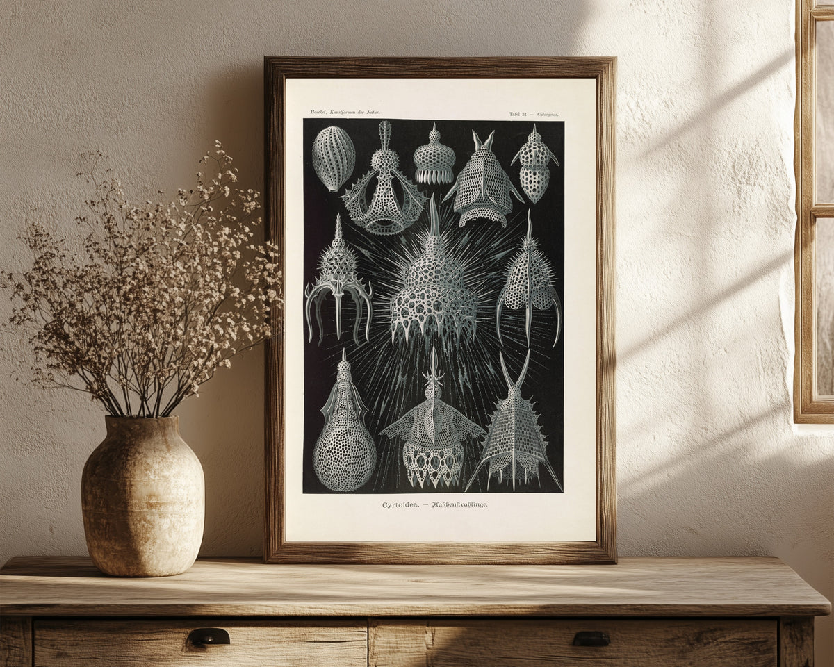 Framed art print of Kunstformen der Natur, Plate 31: Cyrtoidea by Ernst Haeckel, in a dark wood frame leaning on a rustic console beside dried flowers