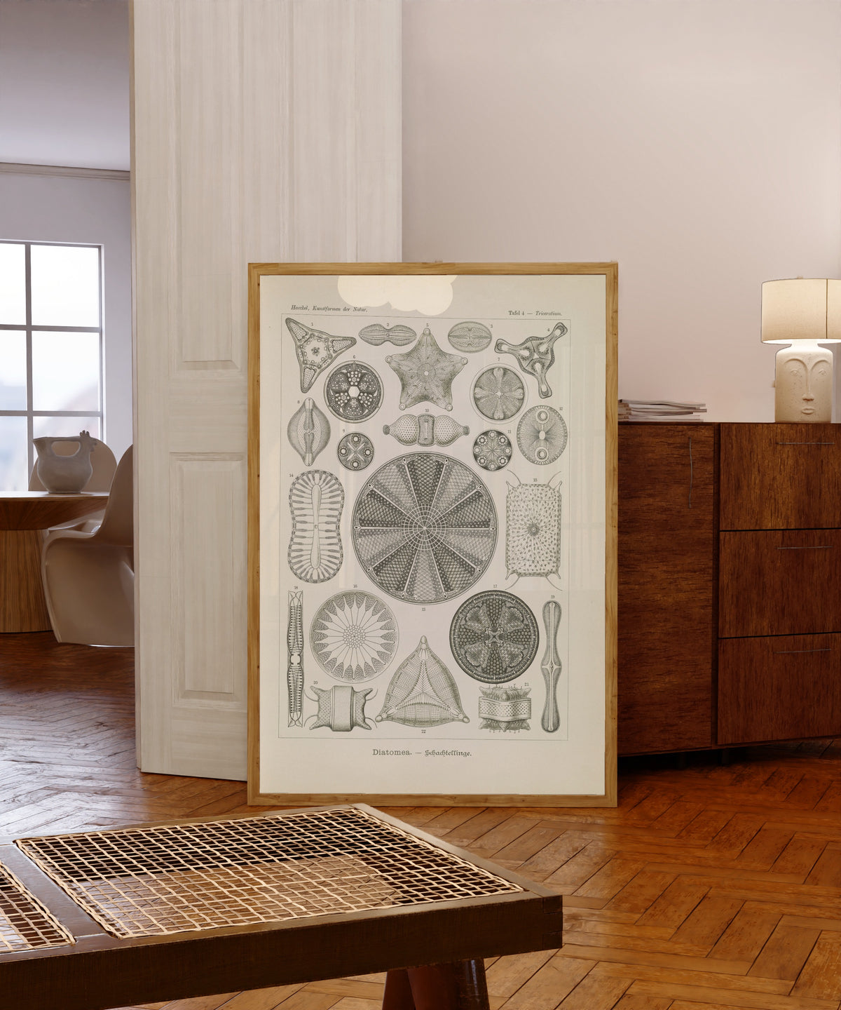Framed art print of Kunstformen der Natur, Plate 4: Diatomea by Ernst Haeckel, in a light wood frame leaning in a warm room with a parquet floor