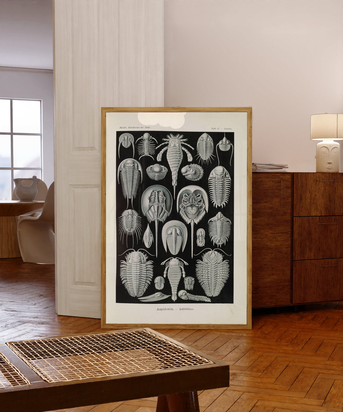 Framed art print of Kunstformen der Natur, Plate 47: Aspidonia by Ernst Haeckel, in a light wood frame leaning in a warm room with a parquet floor
