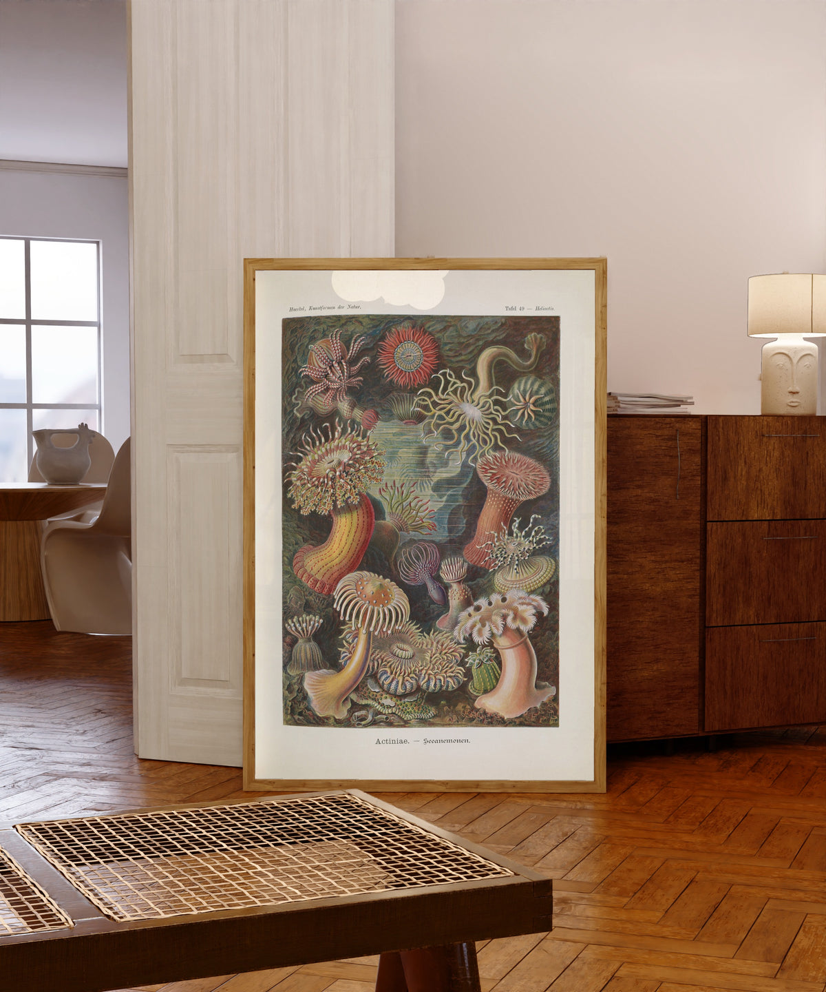 Framed art print of Kunstformen der Natur, Plate 49: Actiniae by Ernst Haeckel, in a light wood frame leaning in a warm room with a parquet floor