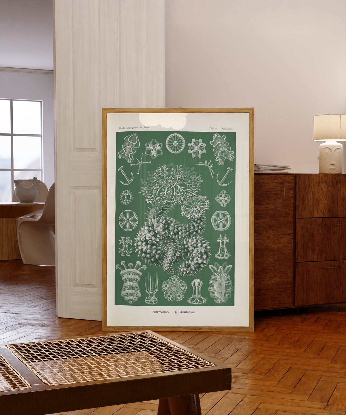 Framed art print of Kunstformen der Natur, Plate 50: Thuroidea by Ernst Haeckel, in a light wood frame leaning in a warm room with a parquet floor