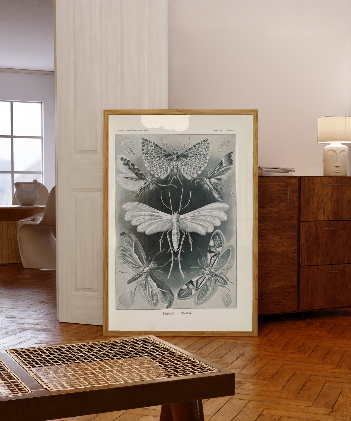 Framed art print of Kunstformen der Natur, Plate 58: Tineida by Ernst Haeckel, in a light wood frame leaning in a warm room with a parquet floor