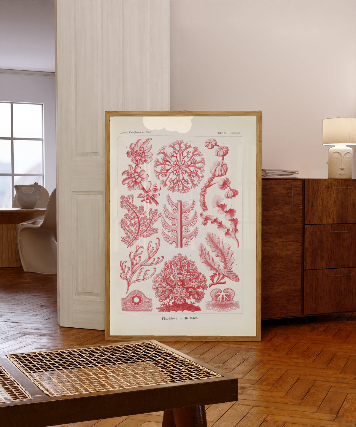 Framed art print of Kunstformen der Natur, Plate 65: Florideae by Ernst Haeckel, in a light wood frame leaning in a warm room with a parquet floor