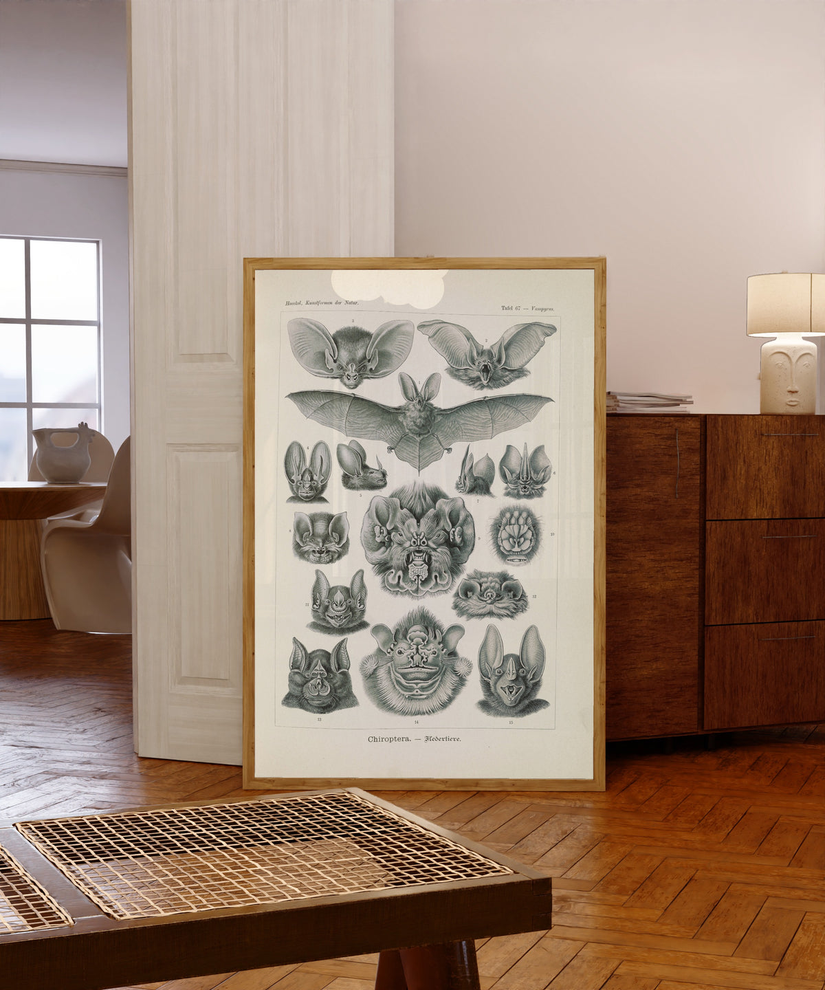 Framed art print of Kunstformen der Natur, Plate 67: Chiroptera by Ernst Haeckel, in a light wood frame leaning in a warm room with a parquet floor