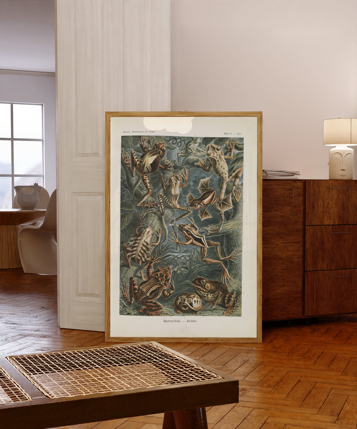 Framed art print of Kunstformen der Natur, Plate 68: Batrachia by Ernst Haeckel, in a light wood frame leaning in a warm room with a parquet floor