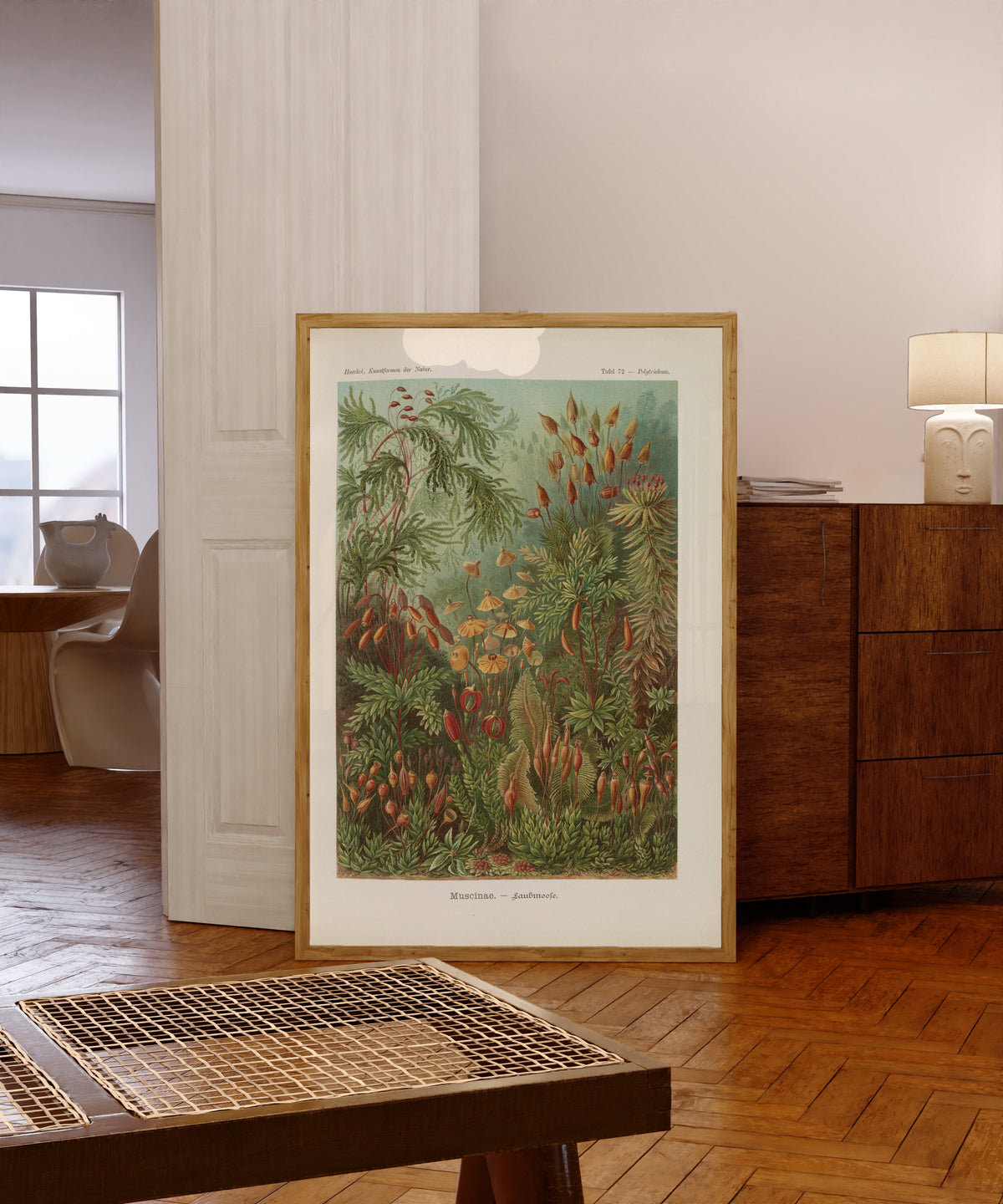 Framed art print of Kunstformen der Natur, Plate 72: Muscinae by Ernst Haeckel, in a light wood frame leaning in a warm room with a parquet floor