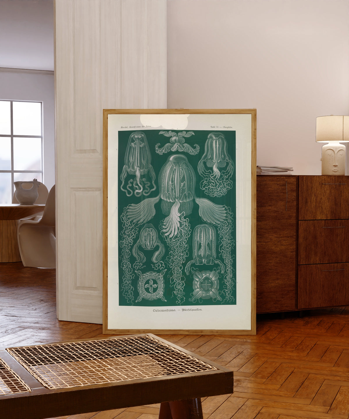 Framed art print of Kunstformen der Natur, Plate 78: Cubomedusae by Ernst Haeckel, in a light wood frame leaning in a warm room with a parquet floor