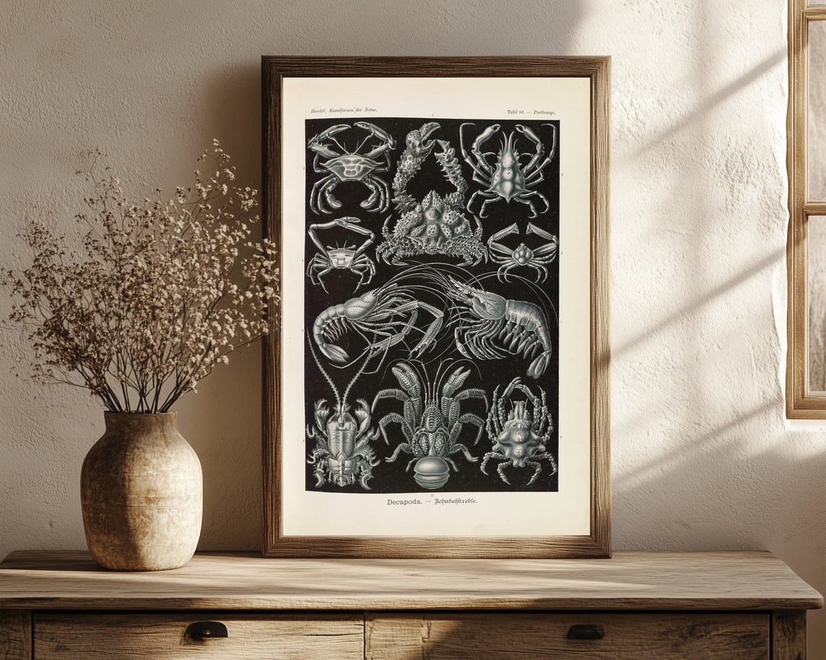 Framed art print of Kunstformen der Natur, Plate 86: Decapoda by Ernst Haeckel, in a dark wood frame leaning on a rustic console beside dried flowers